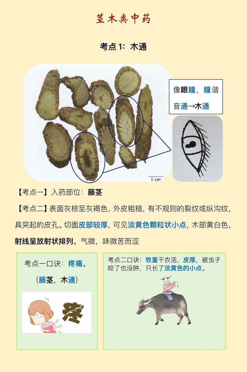 悉康印度代购希爱力是真的吗？避坑指南与正品鉴别全攻略